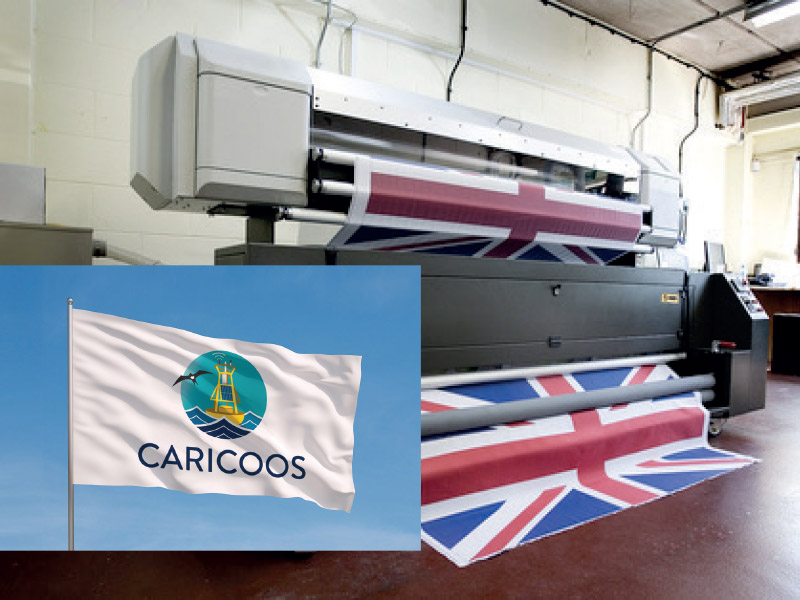 Dye-Sublimation Print